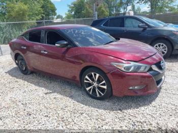  Salvage Nissan Maxima