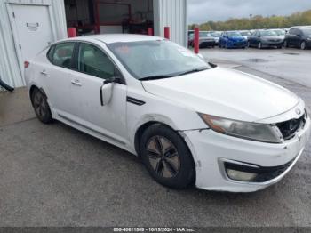  Salvage Kia Optima