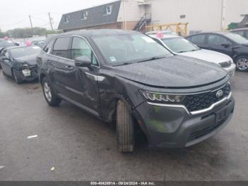  Salvage Kia Sorento