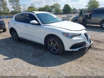  Salvage Alfa Romeo Stelvio