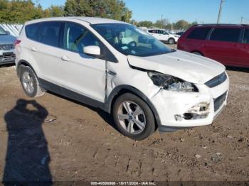  Salvage Ford Escape