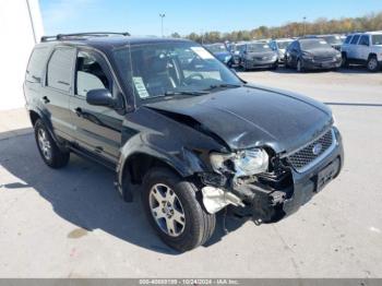  Salvage Ford Escape