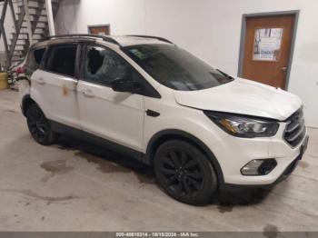  Salvage Ford Escape