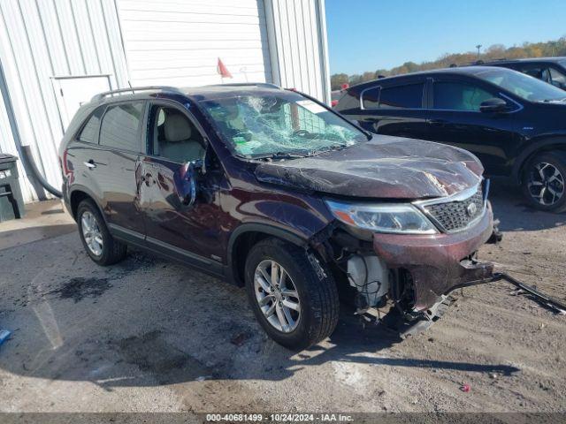  Salvage Kia Sorento