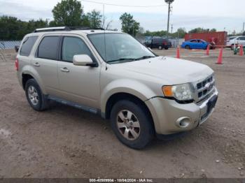  Salvage Ford Escape