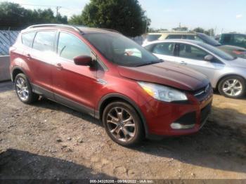  Salvage Ford Escape