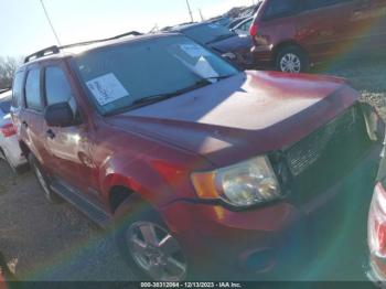  Salvage Ford Escape