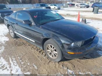  Salvage Ford Mustang