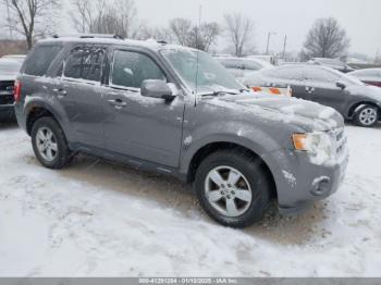  Salvage Ford Escape