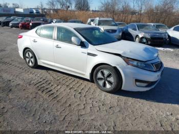  Salvage Kia Optima