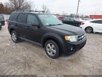  Salvage Ford Escape