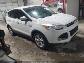  Salvage Ford Escape