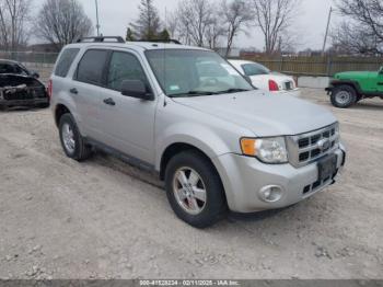  Salvage Ford Escape