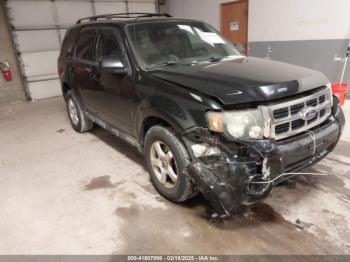  Salvage Ford Escape