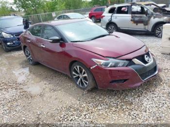  Salvage Nissan Maxima