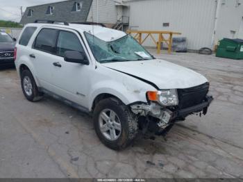  Salvage Ford Escape