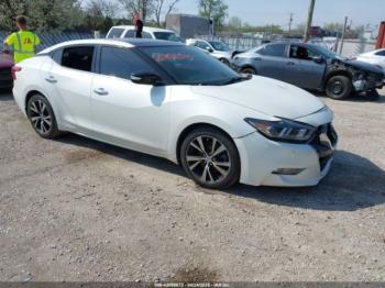  Salvage Nissan Maxima