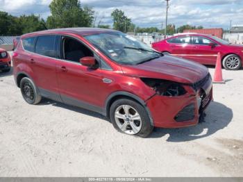  Salvage Ford Escape
