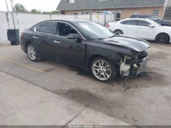  Salvage Nissan Maxima