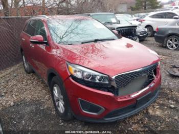  Salvage Kia Sorento
