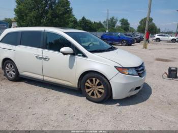  Salvage Honda Odyssey