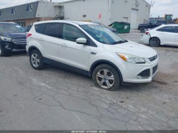  Salvage Ford Escape