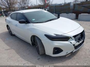  Salvage Nissan Maxima