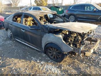  Salvage Hyundai SONATA