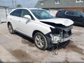  Salvage Lexus RX