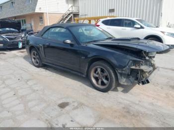  Salvage Ford Mustang