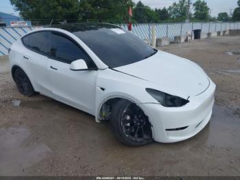  Salvage Tesla Model Y