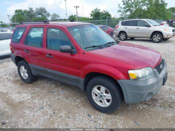  Salvage Ford Escape