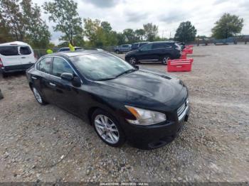  Salvage Nissan Maxima