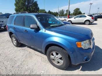  Salvage Ford Escape