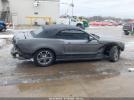 Ford Mustang V6 Premium Image 9