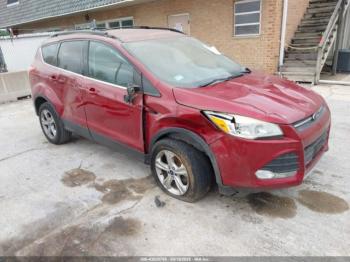  Salvage Ford Escape
