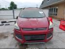 Ford Escape Se Image 14