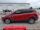 Ford Escape Se Image 11