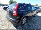Honda CR-V Ex-l Image 3