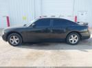 Dodge Charger Image 10
