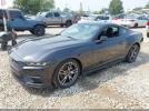 Ford Mustang Ecoboost Fastback Image 4