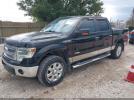 Ford F-150 Xlt Image 6