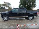 Ford F-150 Xlt Image 11