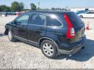 Honda CR-V Ex-l Image 3