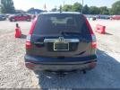 Honda CR-V Ex-l Image 13