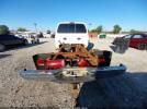 Ford F-250 Image 2