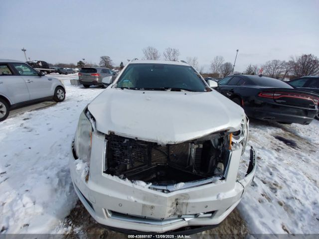 Cadillac SRX Luxury Collection Image 10