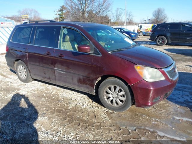 Honda Odyssey Ex-l Image 1