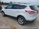 Ford Escape Se Image 7