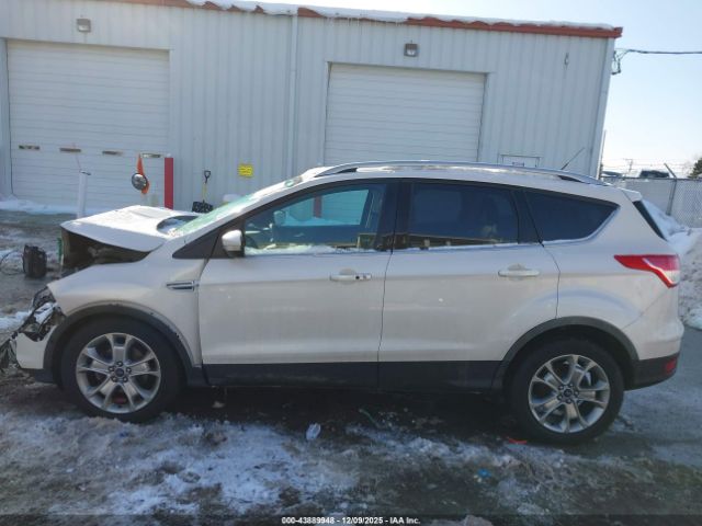 Ford Escape Titanium Image 9